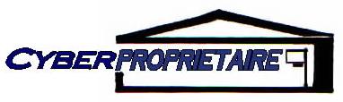 Cyber logo flash.jpg (9678 octets)