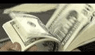 argent_flippper.gif (30258 octets)