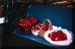 fruits_du_jardin.jpg (21416 octets)